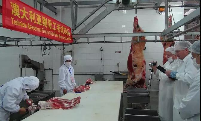 澳大利亚剔骨工482雇主担保工签