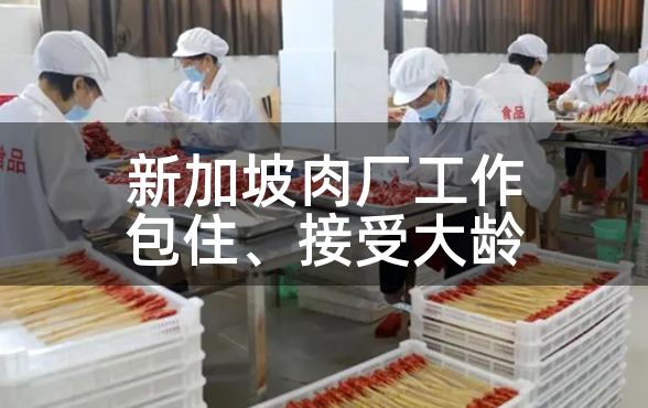 新加坡的肉厂工作:包住、接受大龄