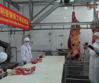 澳大利亚剔骨工482雇主担保工签