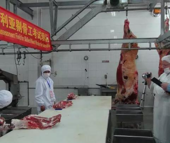 澳大利亚剔骨工482雇主担保工签