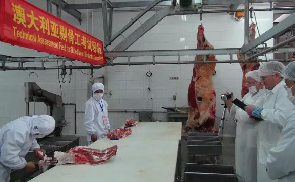 澳大利亚剔骨工482雇主担保工签