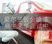 急：爱尔兰优质钣金喷漆项目，雇主来华面试