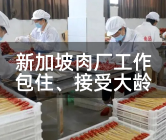 新加坡的肉厂工作：包住、接受大龄