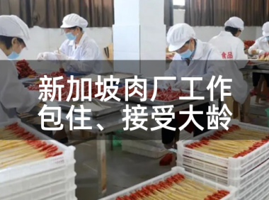 新加坡的肉厂工作:包住、接受大龄