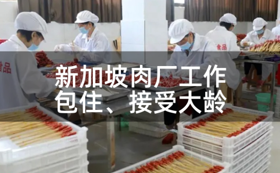 新加坡的肉厂工作：包住、接受大龄