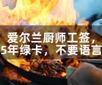 爱尔兰厨师工签，5年绿卡，不要语言